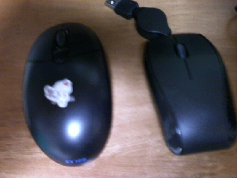 Picture 61 (2)
