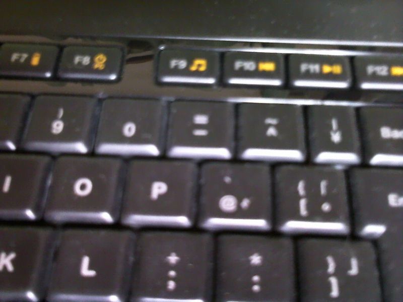 Picture 315 (3)