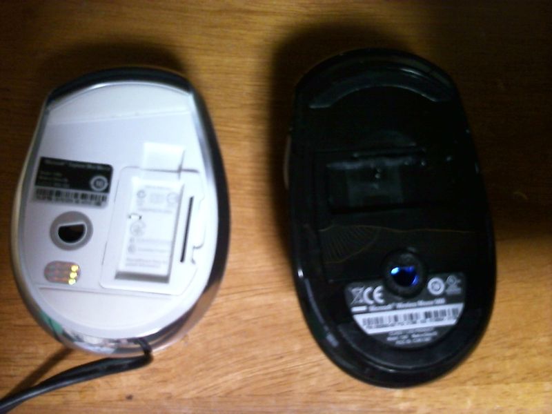 Picture 347 (2)