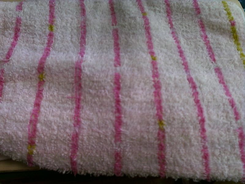 Picture 10 (6)