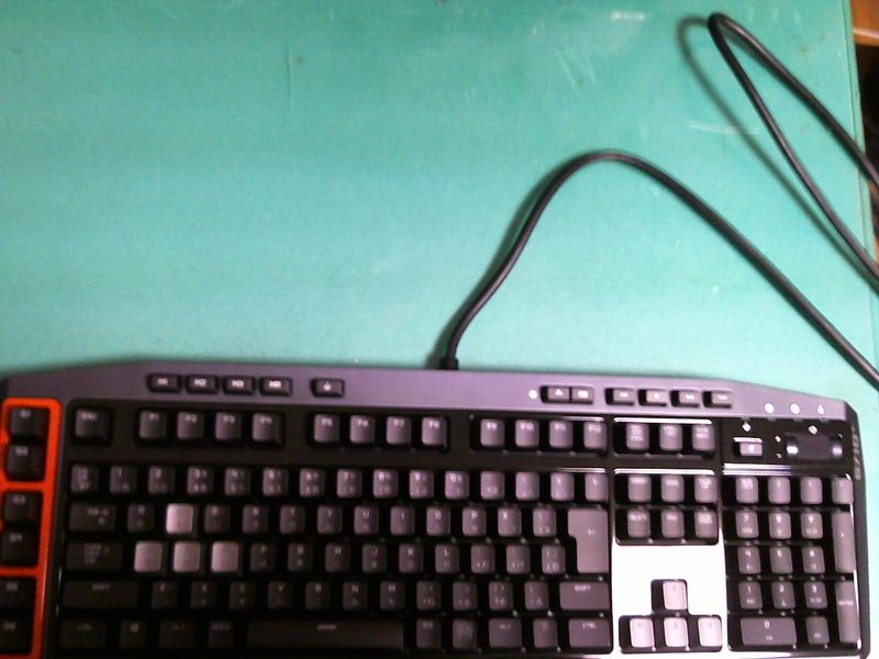 Picture 403 (3)